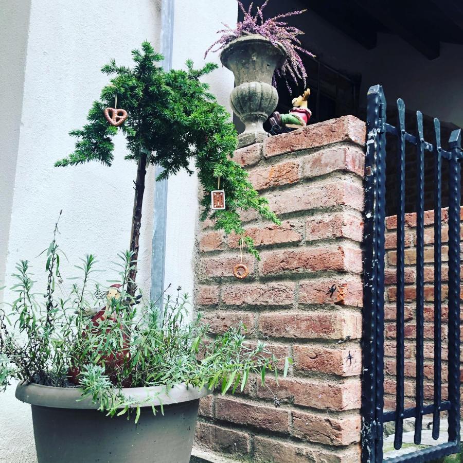 Apartmany Kovacska Košice Buitenkant foto